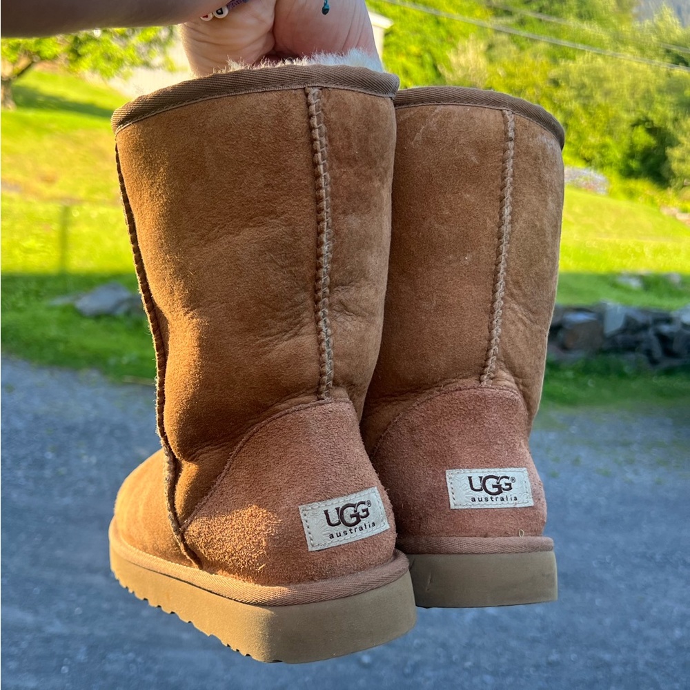Ugg Classic Short Boot in chestnut brown